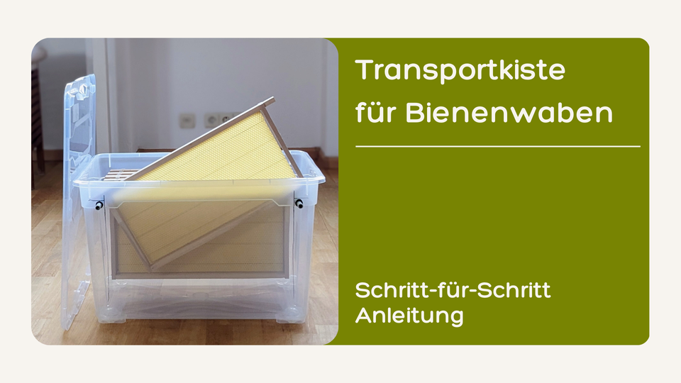 Wie man eine Bienenwaben Transportkiste selbst baut